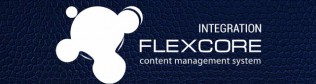 E-commerce B2B. Чем интересно партнерство с Flexcore INTEGRATION?