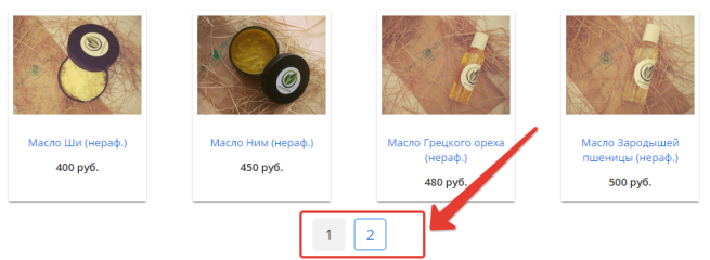 5_catalog-paginator